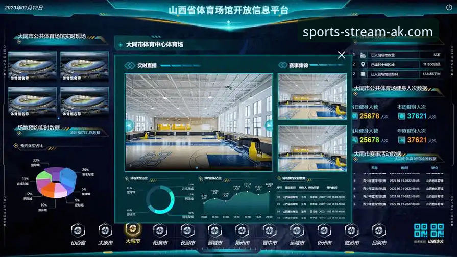 AK体育实时数据功能迎来重大升级，2024年最新版本体验分享